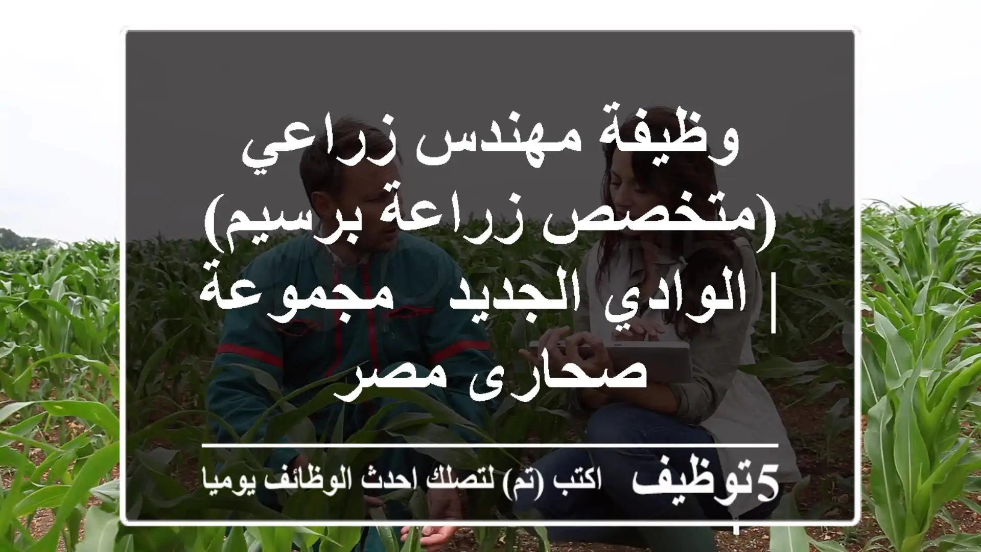 وظيفة مهندس زراعي (متخصص زراعة برسيم) | الوادي الجديد - مجموعة صحارى مصر