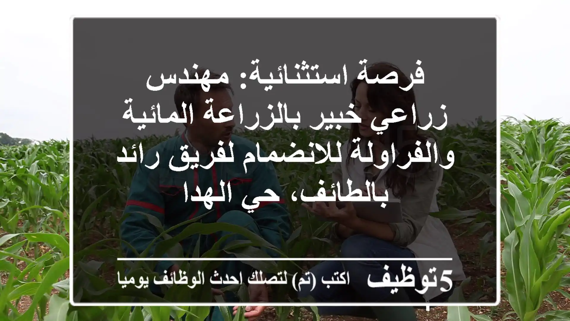 فرصة استثنائية: مهندس زراعي خبير بالزراعة المائية والفراولة للانضمام لفريق رائد بالطائف، حي الهدا