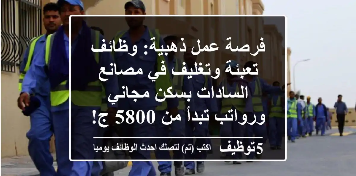 فرصة عمل ذهبية: وظائف تعبئة وتغليف في مصانع السادات بسكن مجاني ورواتب تبدأ من 5800 ج!