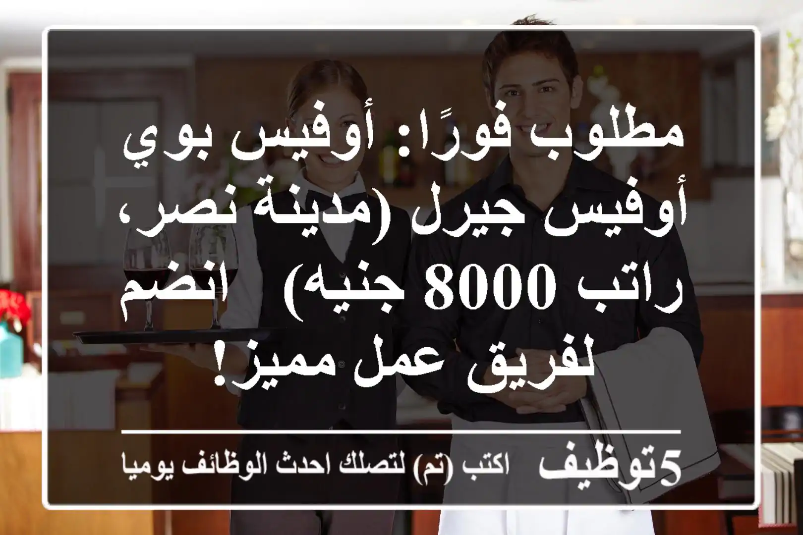 مطلوب فورًا: أوفيس بوي / أوفيس جيرل (مدينة نصر، راتب 8000 جنيه) - انضم لفريق عمل مميز!
