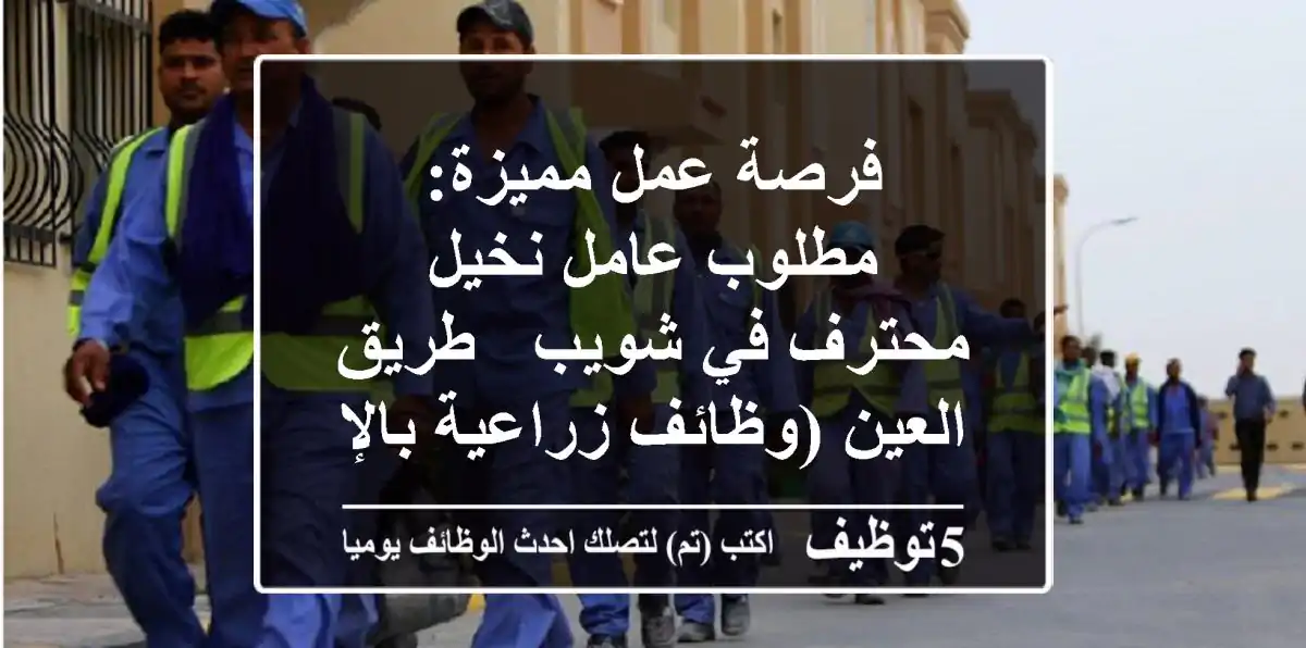 فرصة عمل مميزة: مطلوب عامل نخيل محترف في شويب - طريق العين (وظائف زراعية بالإمارات)