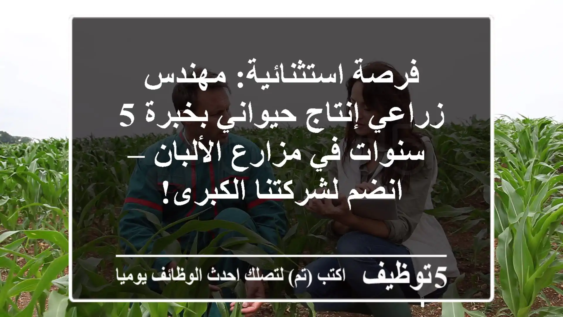 فرصة استثنائية: مهندس زراعي إنتاج حيواني بخبرة 5 سنوات في مزارع الألبان – انضم لشركتنا الكبرى!