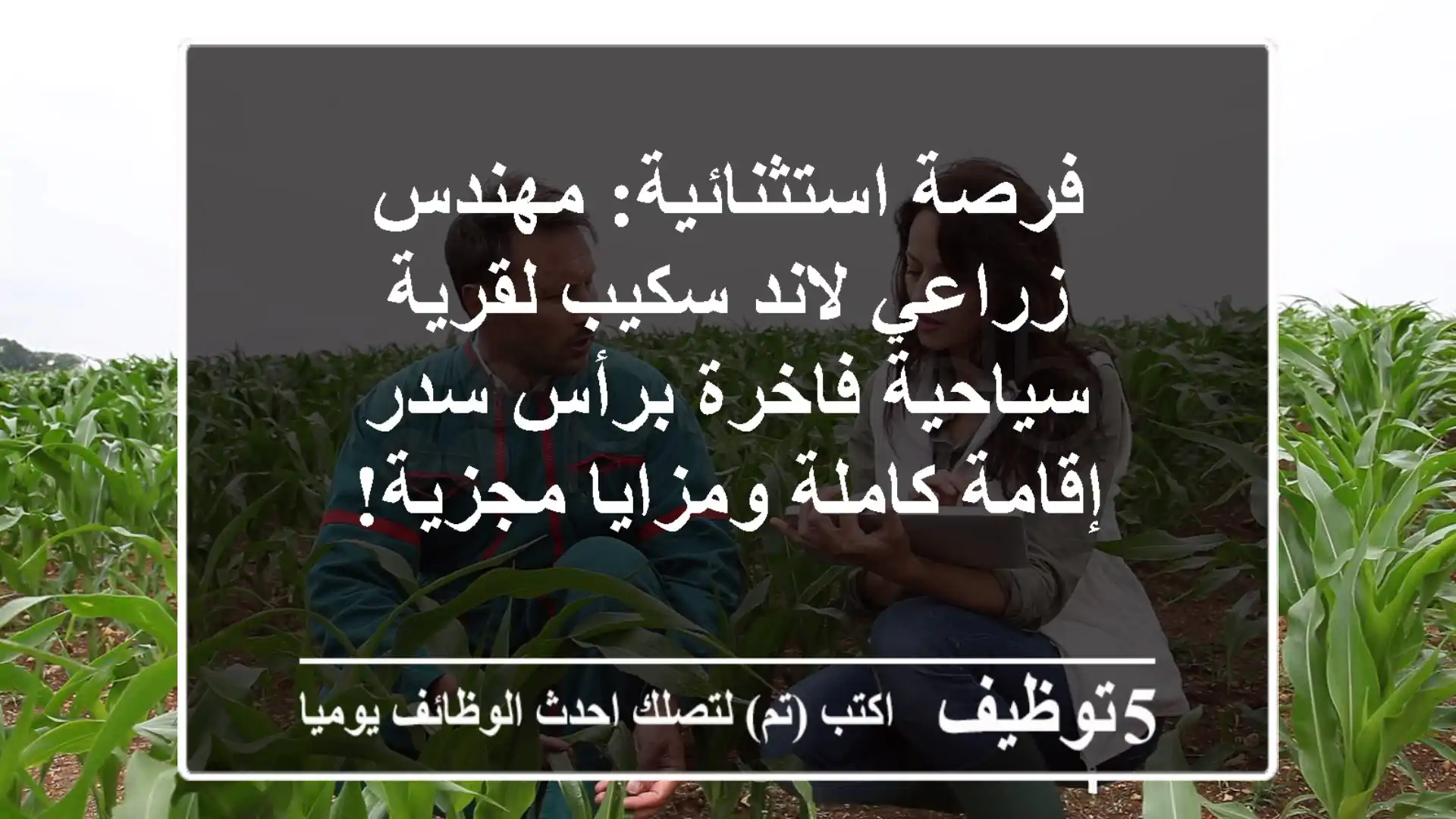 فرصة استثنائية: مهندس زراعي لاند سكيب لقرية سياحية فاخرة برأس سدر - إقامة كاملة ومزايا مجزية!