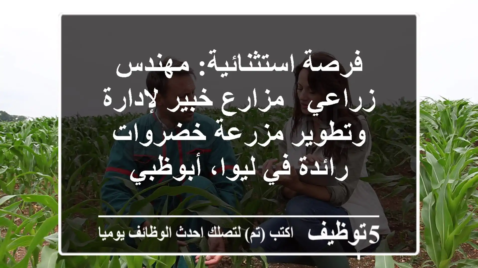 فرصة استثنائية: مهندس زراعي / مزارع خبير لإدارة وتطوير مزرعة خضروات رائدة في ليوا، أبوظبي