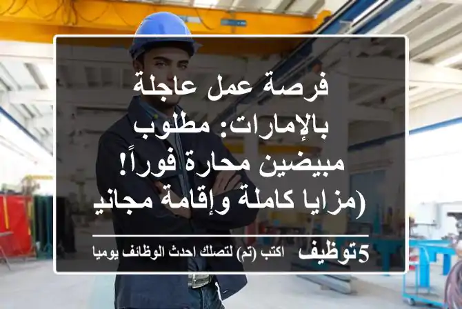 فرصة عمل عاجلة بالإمارات: مطلوب مبيضين محارة فوراً! (مزايا كاملة وإقامة مجانية)