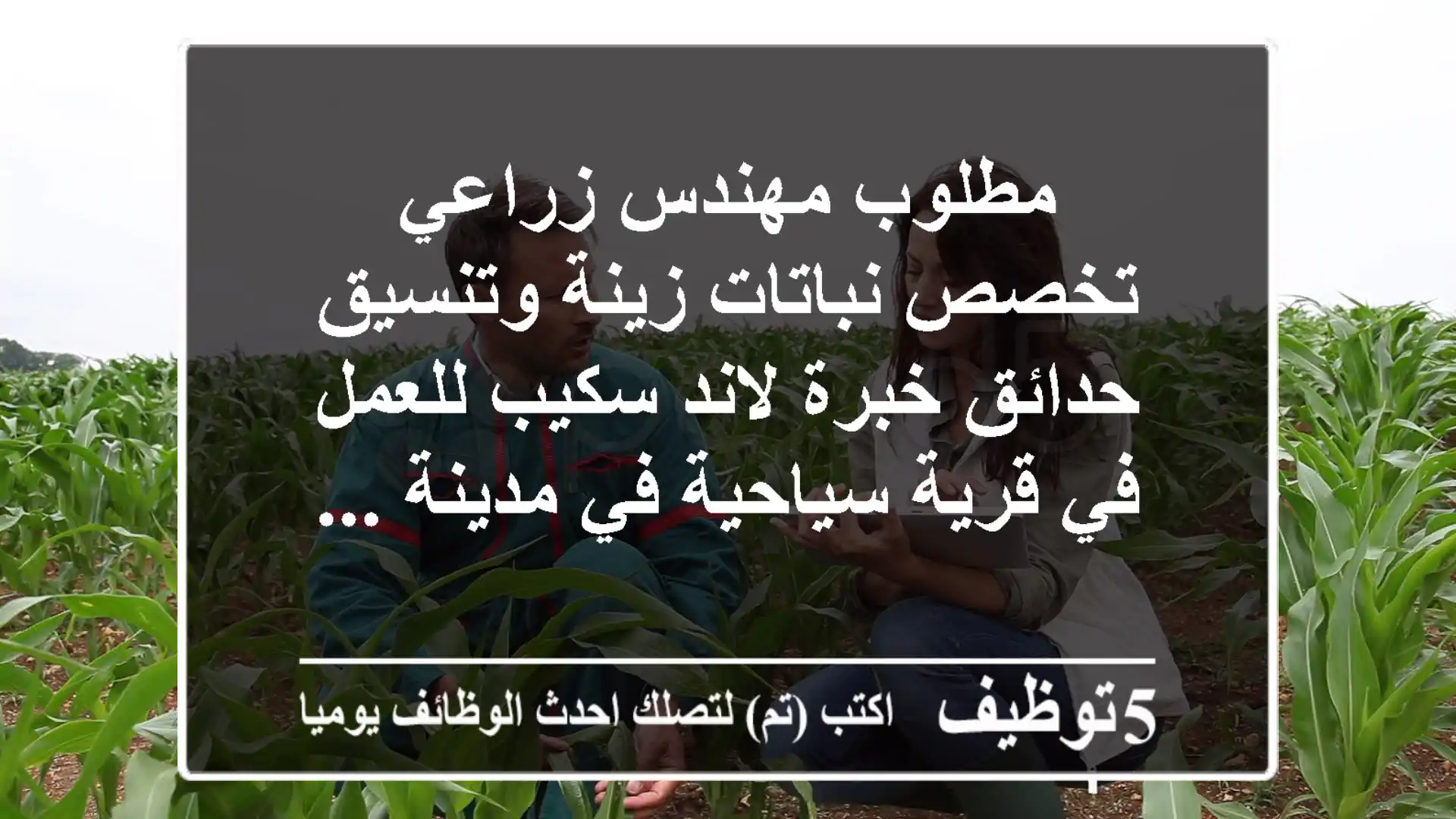مطلوب مهندس زراعي تخصص نباتات زينة وتنسيق حدائق خبرة لاند سكيب للعمل في قرية سياحية في مدينة ...