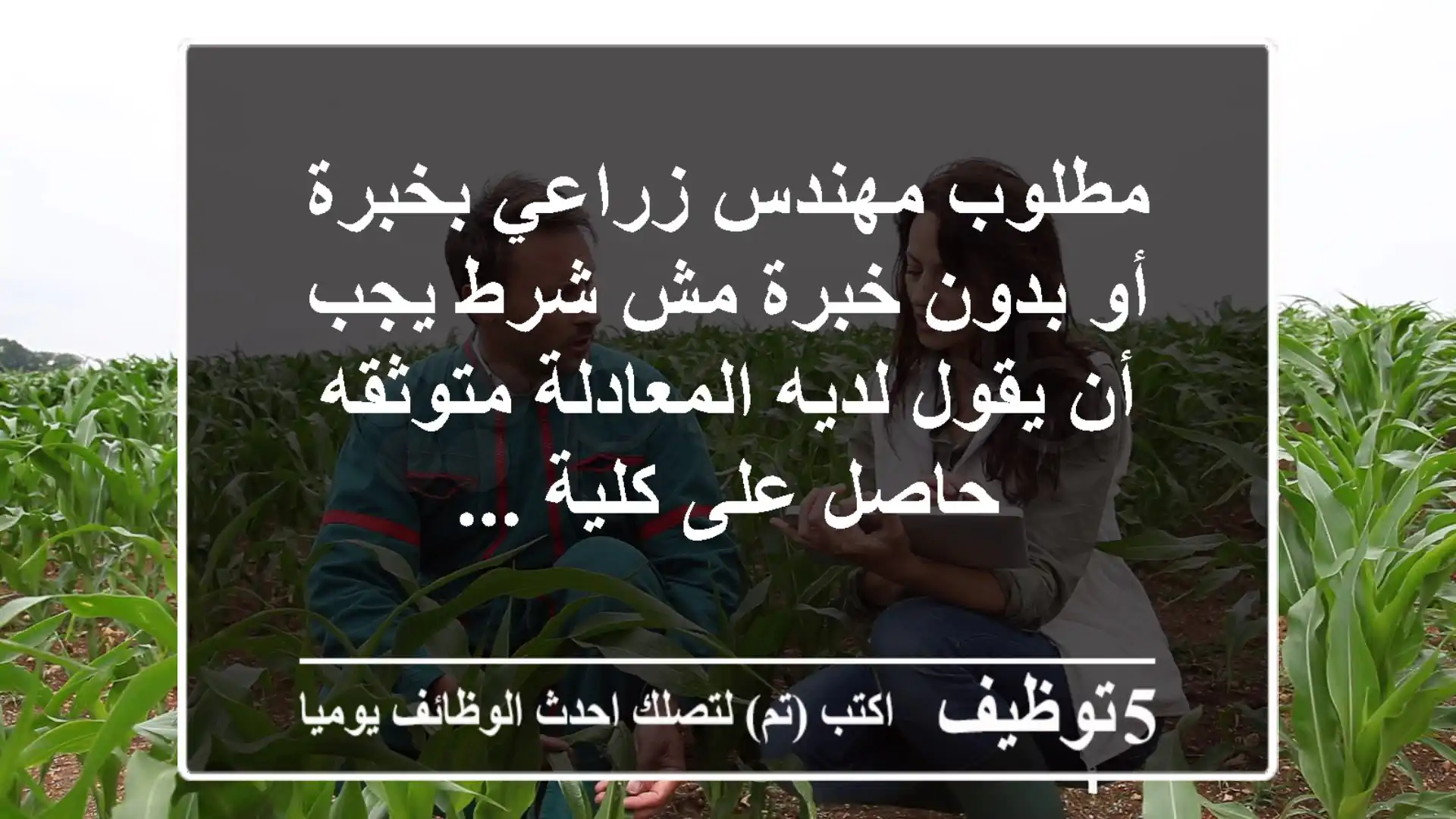 مطلوب مهندس زراعي بخبرة أو بدون خبرة مش شرط يجب أن يقول لديه المعادلة متوثقه حاصل على كلية ...
