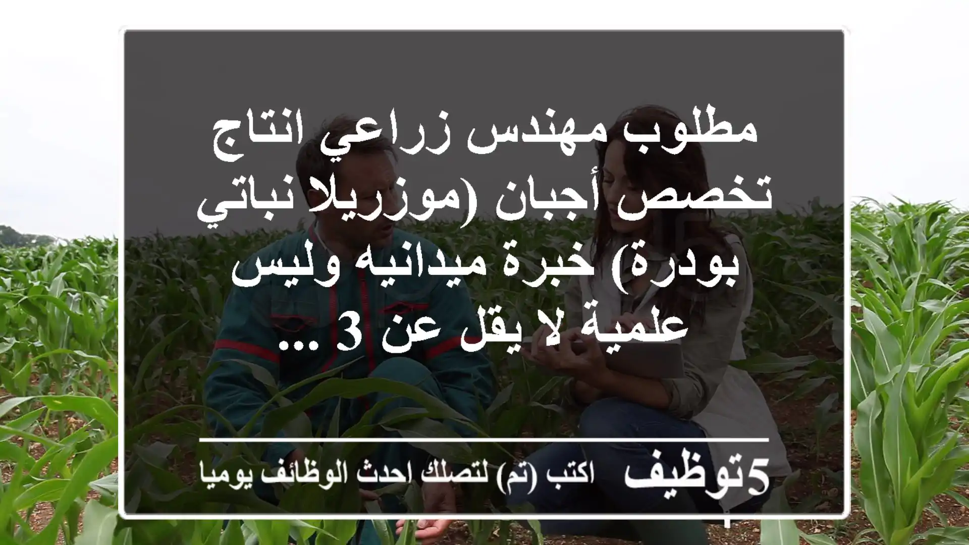 مطلوب مهندس زراعي انتاج تخصص أجبان (موزريلا نباتي بودرة) خبرة ميدانيه وليس علمية لا يقل عن 3 ...