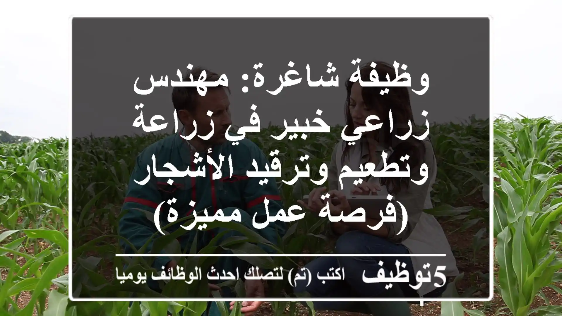 وظيفة شاغرة: مهندس زراعي خبير في زراعة وتطعيم وترقيد الأشجار (فرصة عمل مميزة)