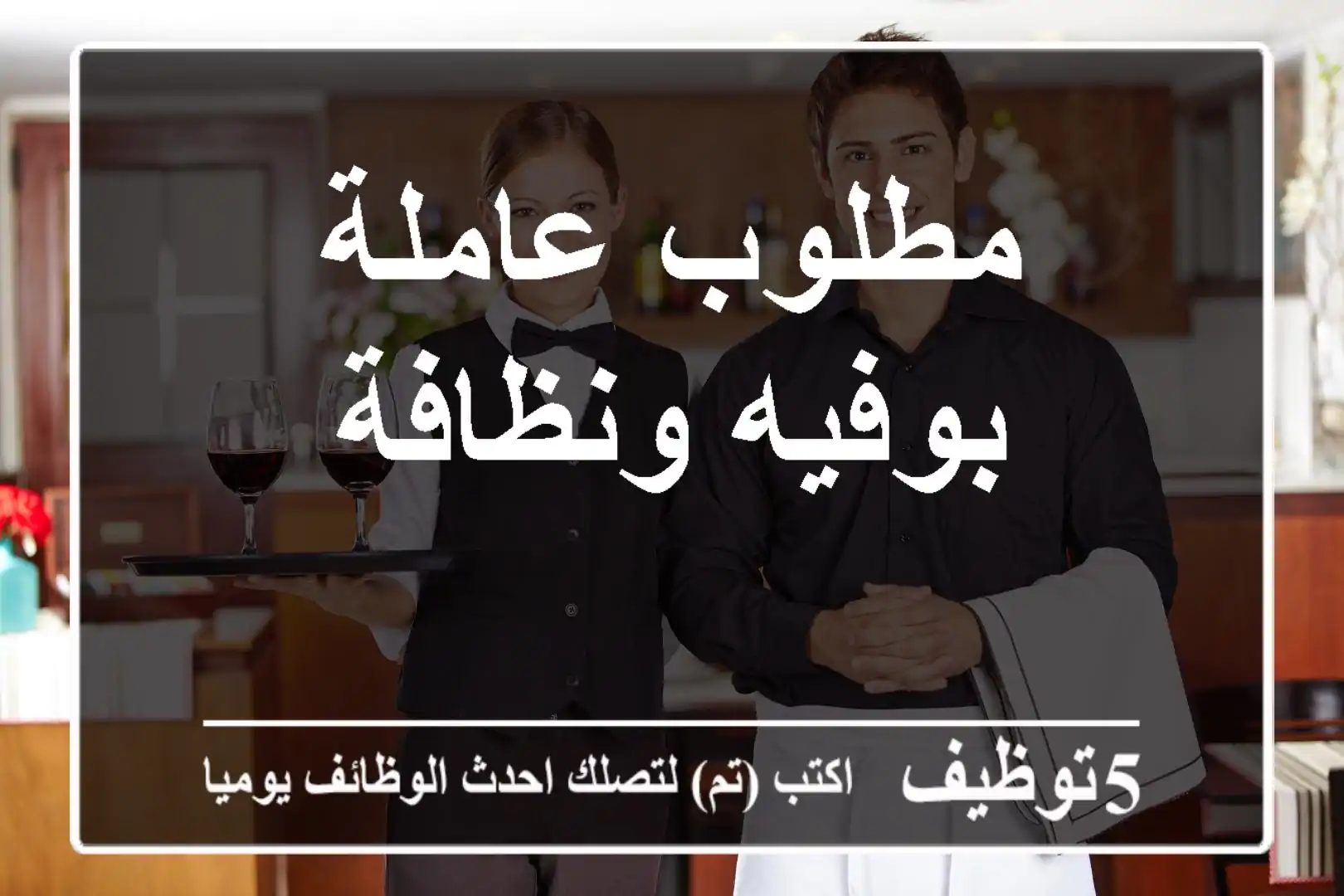 مطلوب عاملة بوفيه ونظافة
