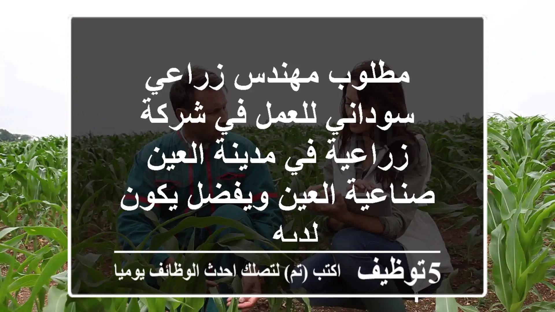 مطلوب مهندس زراعي سوداني للعمل في شركة زراعية في مدينة العين صناعية العين ويفضل يكون لديه ...