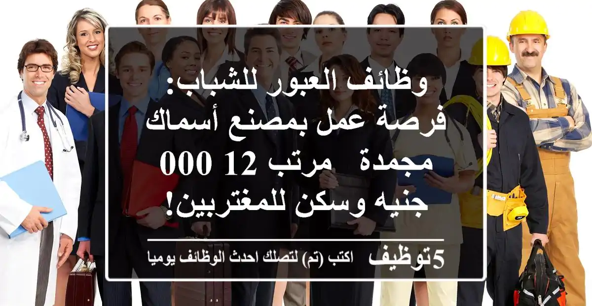 وظائف العبور للشباب: فرصة عمل بمصنع أسماك مجمدة - مرتب 12,000 جنيه وسكن للمغتربين!