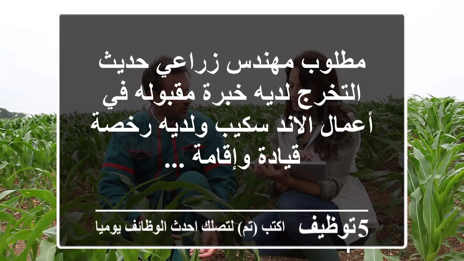 مطلوب مهندس زراعي حديث التخرج لديه خبرة مقبوله في أعمال الاند سكيب ولديه رخصة قيادة وإقامة ...