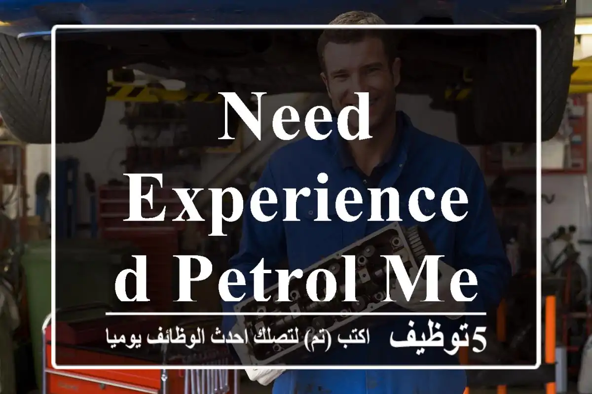 Need Experienced Petrol Mechanic