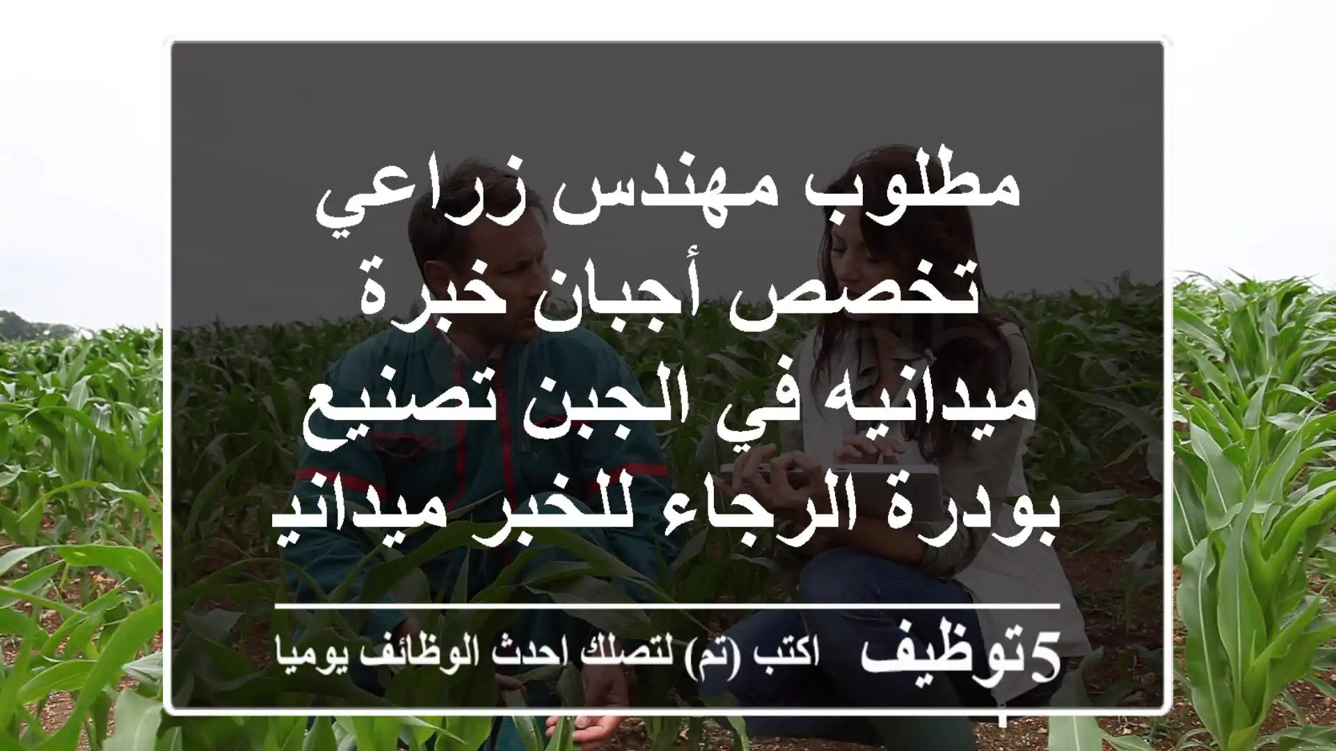 مطلوب مهندس زراعي تخصص أجبان خبرة ميدانيه في الجبن تصنيع بودرة الرجاء للخبر ميدانيه