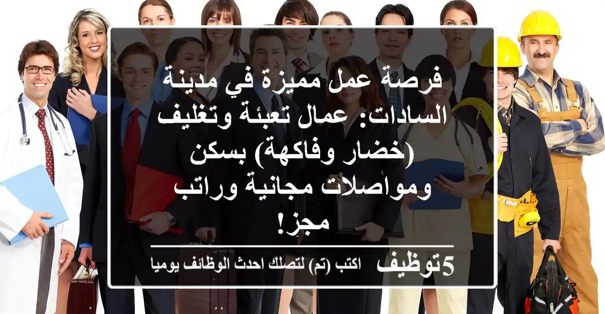فرصة عمل مميزة في مدينة السادات: عمال تعبئة وتغليف (خضار وفاكهة) بسكن ومواصلات مجانية وراتب مجزٍ!