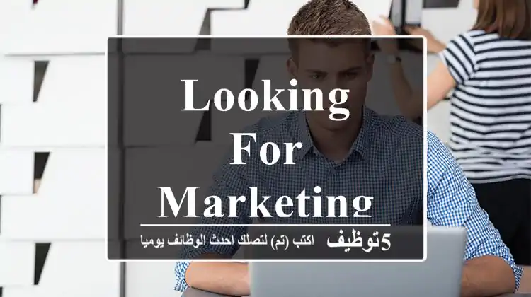 Looking For Marketing Job