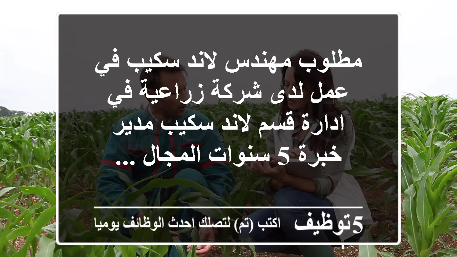 مطلوب مهندس لاند سكيب في عمل لدى شركة زراعية في ادارة قسم لاند سكيب مدير خبرة 5 سنوات المجال ...