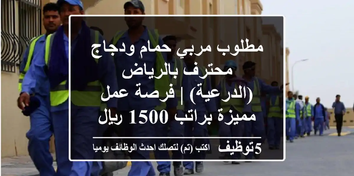 مطلوب مربي حمام ودجاج محترف بالرياض (الدرعية) | فرصة عمل مميزة براتب 1500 ريال