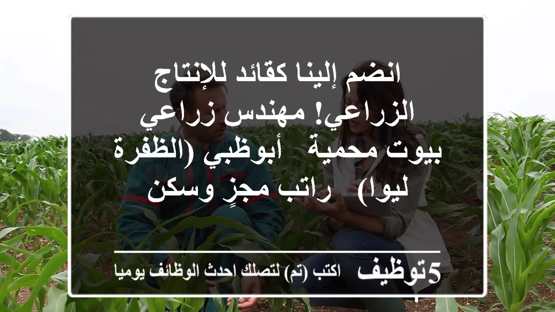 انضم إلينا كقائد للإنتاج الزراعي! مهندس زراعي بيوت محمية - أبوظبي (الظفرة/ليوا) - راتب مجزٍ وسكن