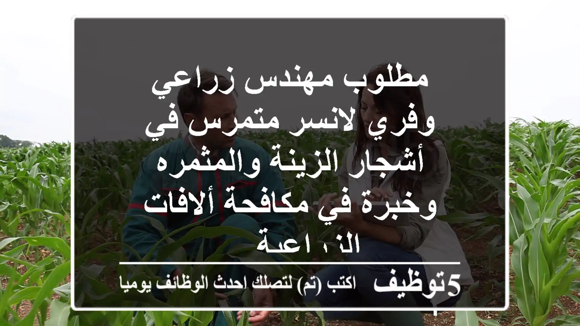 مطلوب مهندس زراعي وفري لانسر متمرس في أشجار الزينة والمثمره وخبرة في مكافحة ألافات الزراعية ...