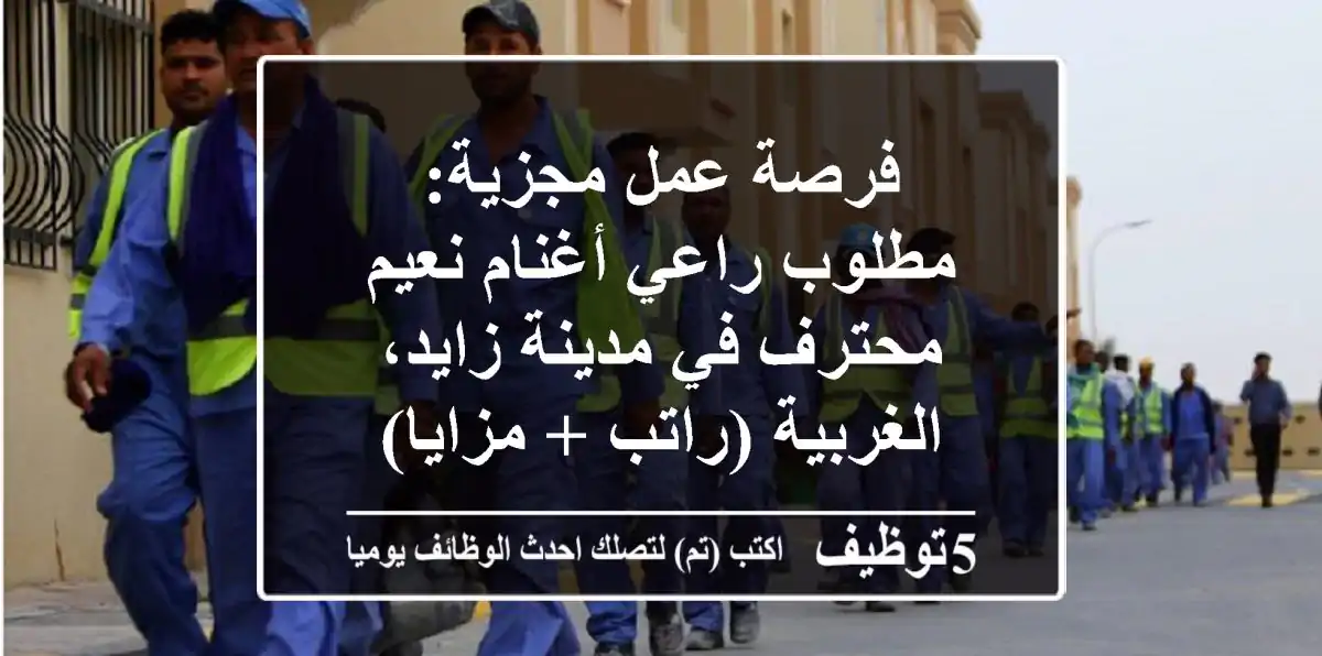 فرصة عمل مجزية: مطلوب راعي أغنام نعيم محترف في مدينة زايد، الغربية (راتب + مزايا)
