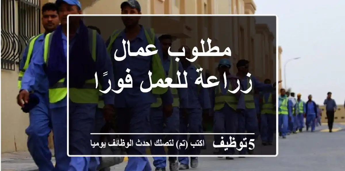 مطلوب عمال زراعة للعمل فورًا
