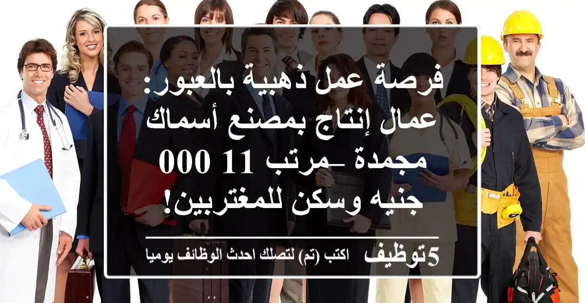 فرصة عمل ذهبية بالعبور: عمال إنتاج بمصنع أسماك مجمدة – مرتب 11,000 جنيه وسكن للمغتربين!