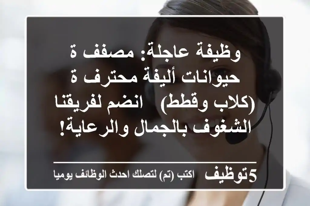 وظيفة عاجلة: مصفف/ة حيوانات أليفة محترف/ة (كلاب وقطط) - انضم لفريقنا الشغوف بالجمال والرعاية!