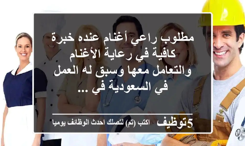 مطلوب راعي أغنام عنده خبرة كافية في رعاية الأغنام والتعامل معها وسبق له العمل في السعودية في ...