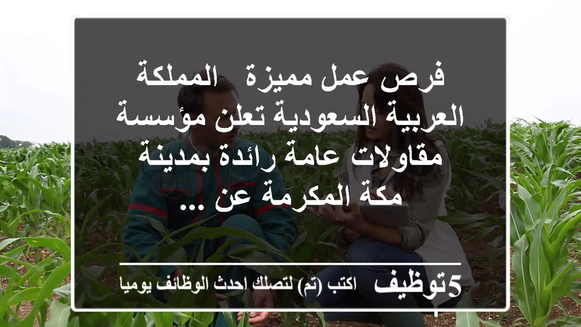 فرص عمل مميزة - المملكة العربية السعودية تعلن مؤسسة مقاولات عامة رائدة بمدينة مكة المكرمة عن ...