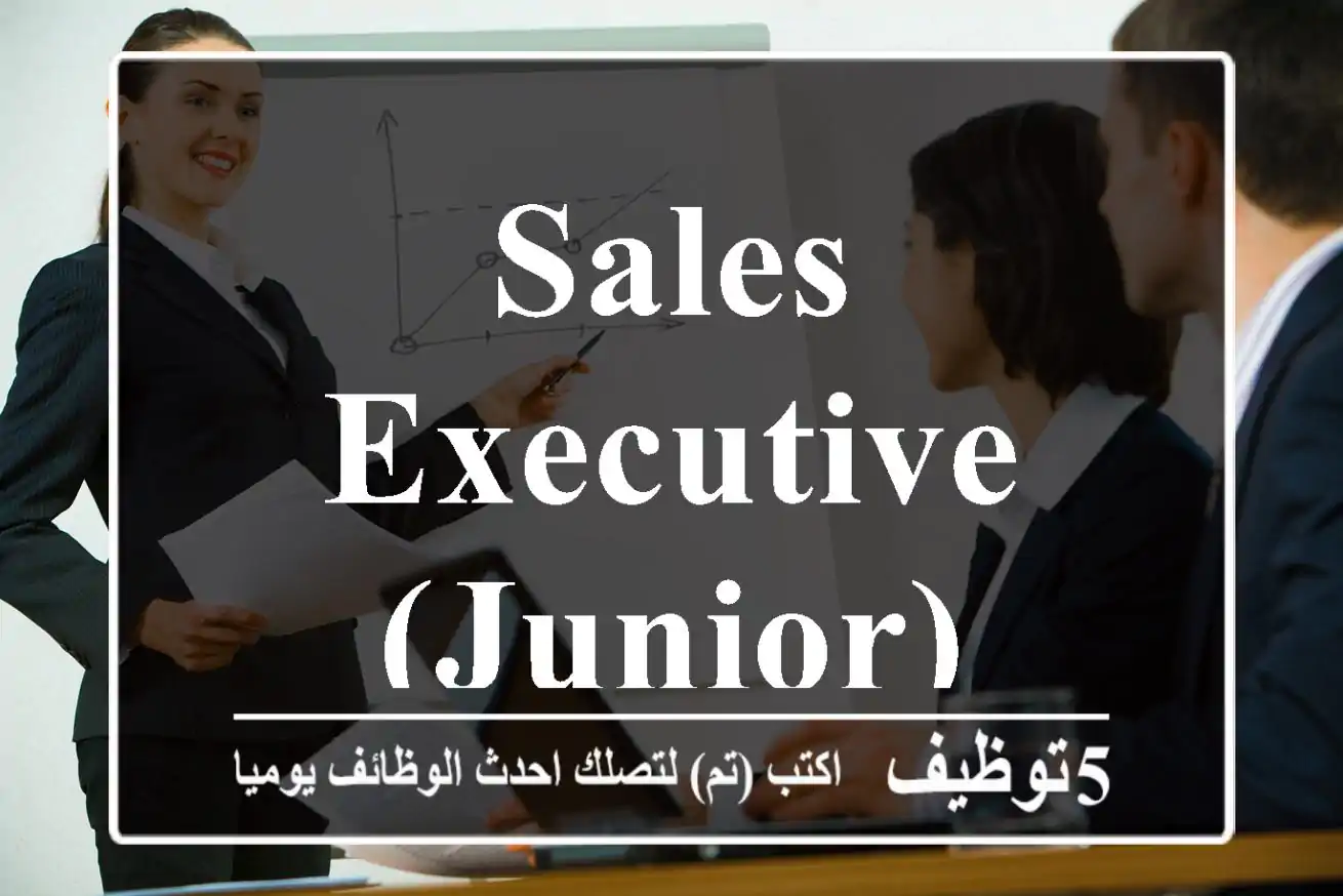 Sales Executive (Junior)