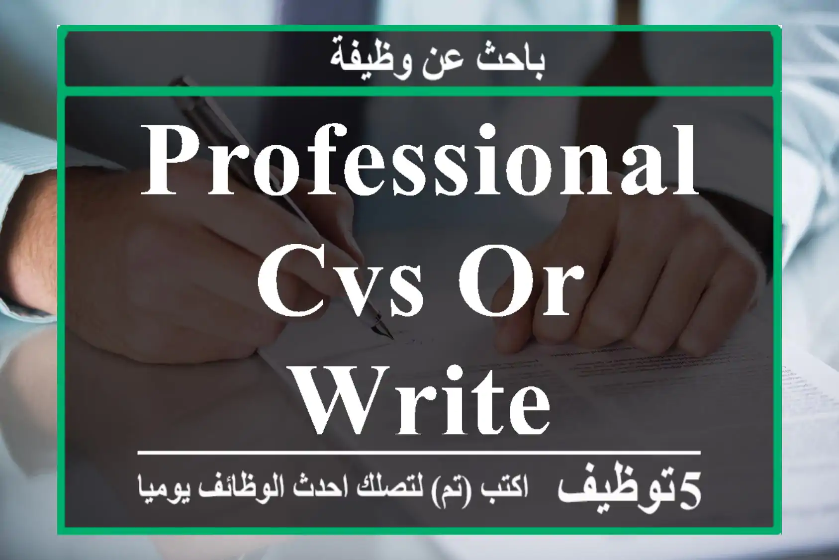 professional CVs or write