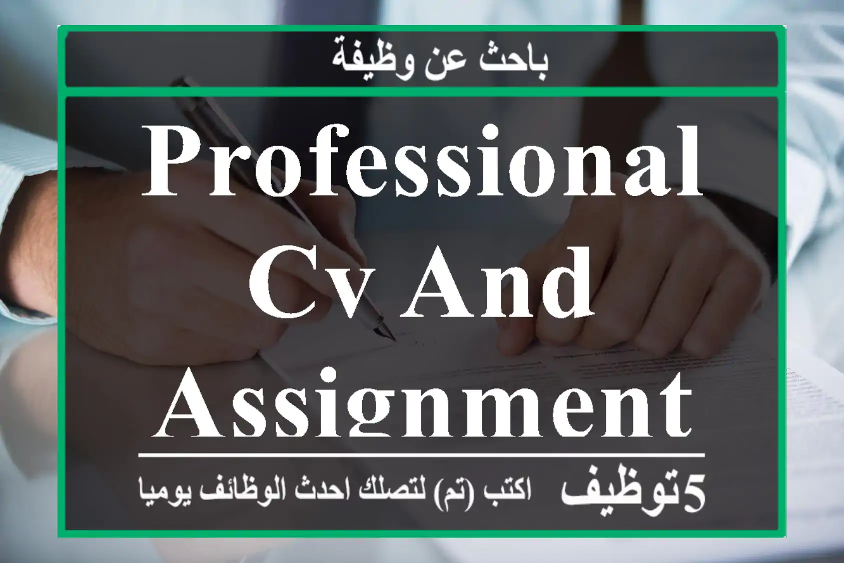 Professional CV and Assignment Work