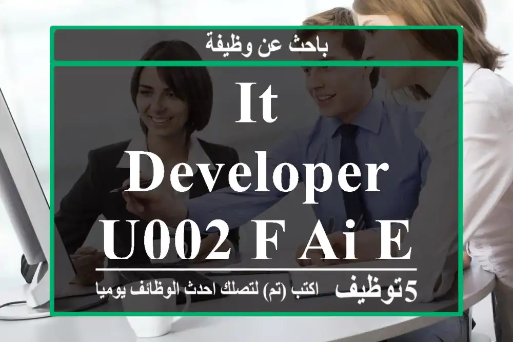 IT developer u002 F Ai expert