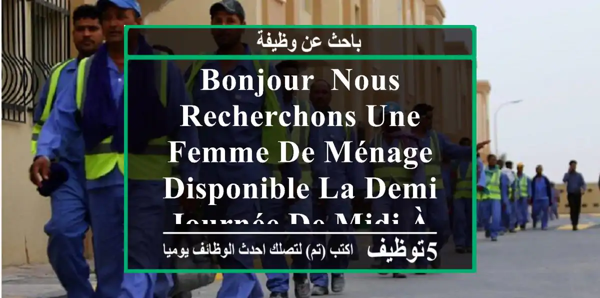 bonjour, nous recherchons une femme de ménage disponible la demi-journée de midi à 18 h pour un ...