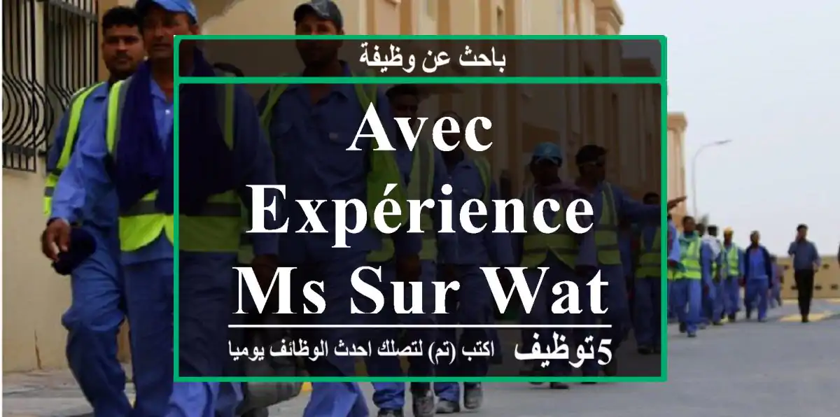 avec expérience ms sur wats ap svp