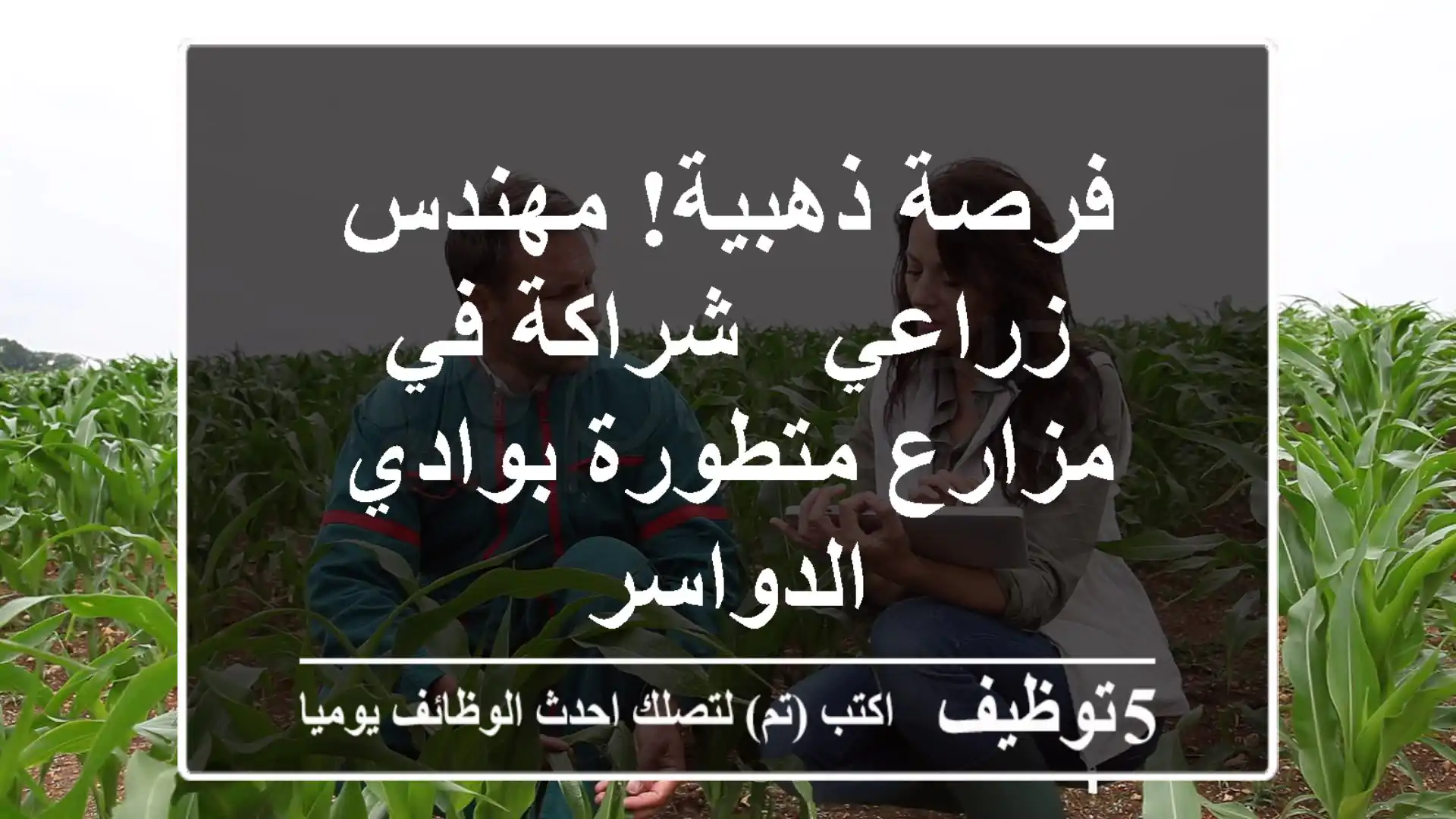 فرصة ذهبية! مهندس زراعي - شراكة في مزارع متطورة بوادي الدواسر