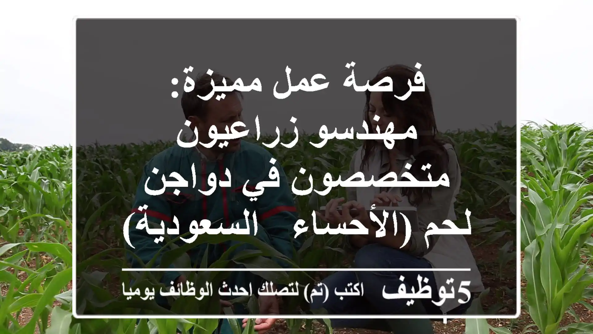 فرصة عمل مميزة: مهندسو زراعيون متخصصون في دواجن لحم (الأحساء - السعودية)