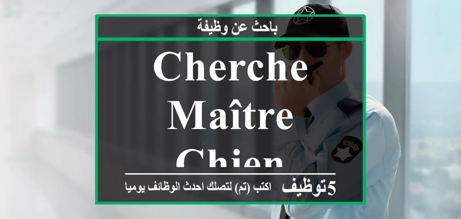 cherche maître chien