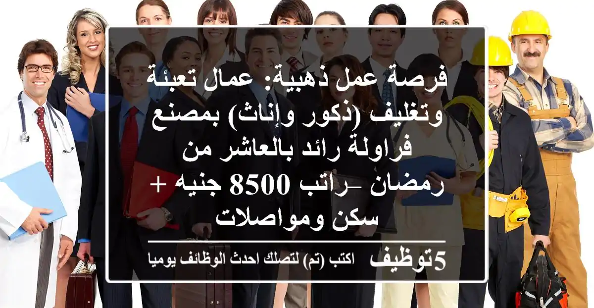 فرصة عمل ذهبية: عمال تعبئة وتغليف (ذكور وإناث) بمصنع فراولة رائد بالعاشر من رمضان – راتب 8500 جنيه + سكن ومواصلات
