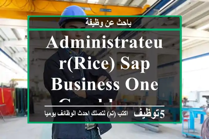 Administrateur(rice) SAP Business One - Casablanca
