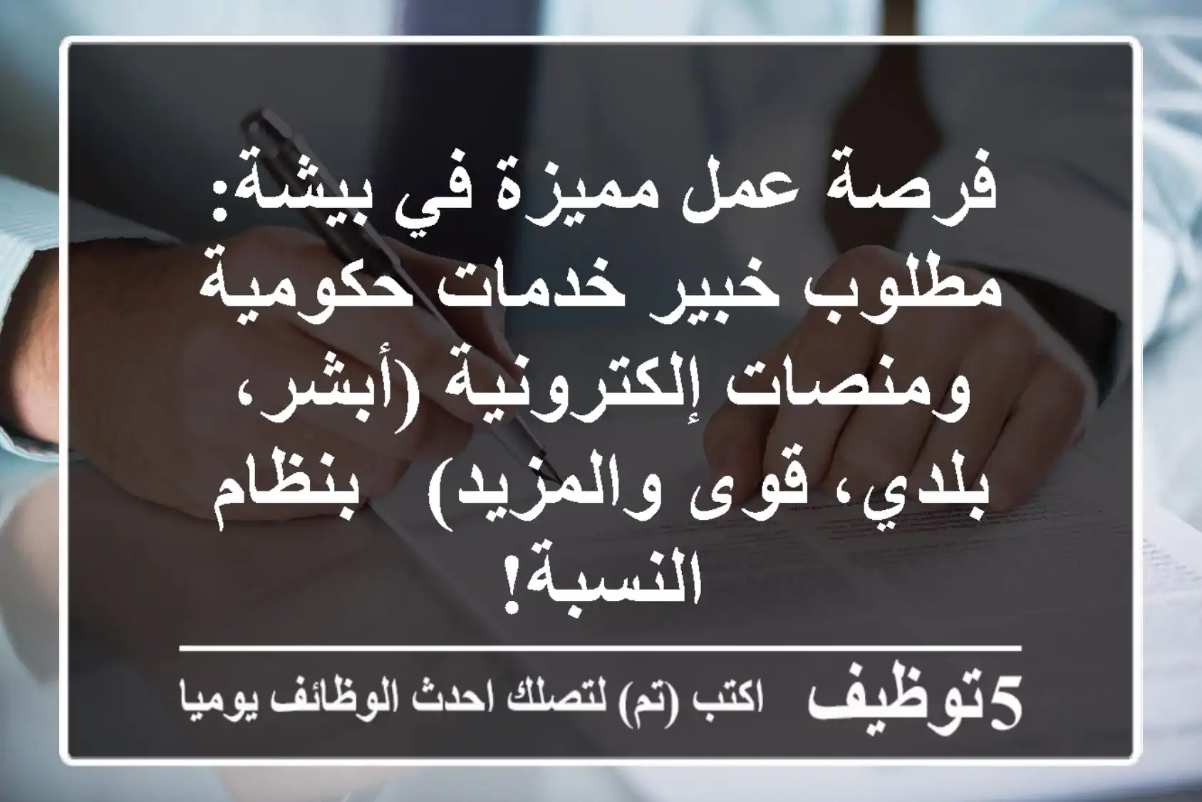 فرصة عمل مميزة في بيشة: مطلوب خبير خدمات حكومية ومنصات إلكترونية (أبشر، بلدي، قوى والمزيد) - بنظام النسبة!