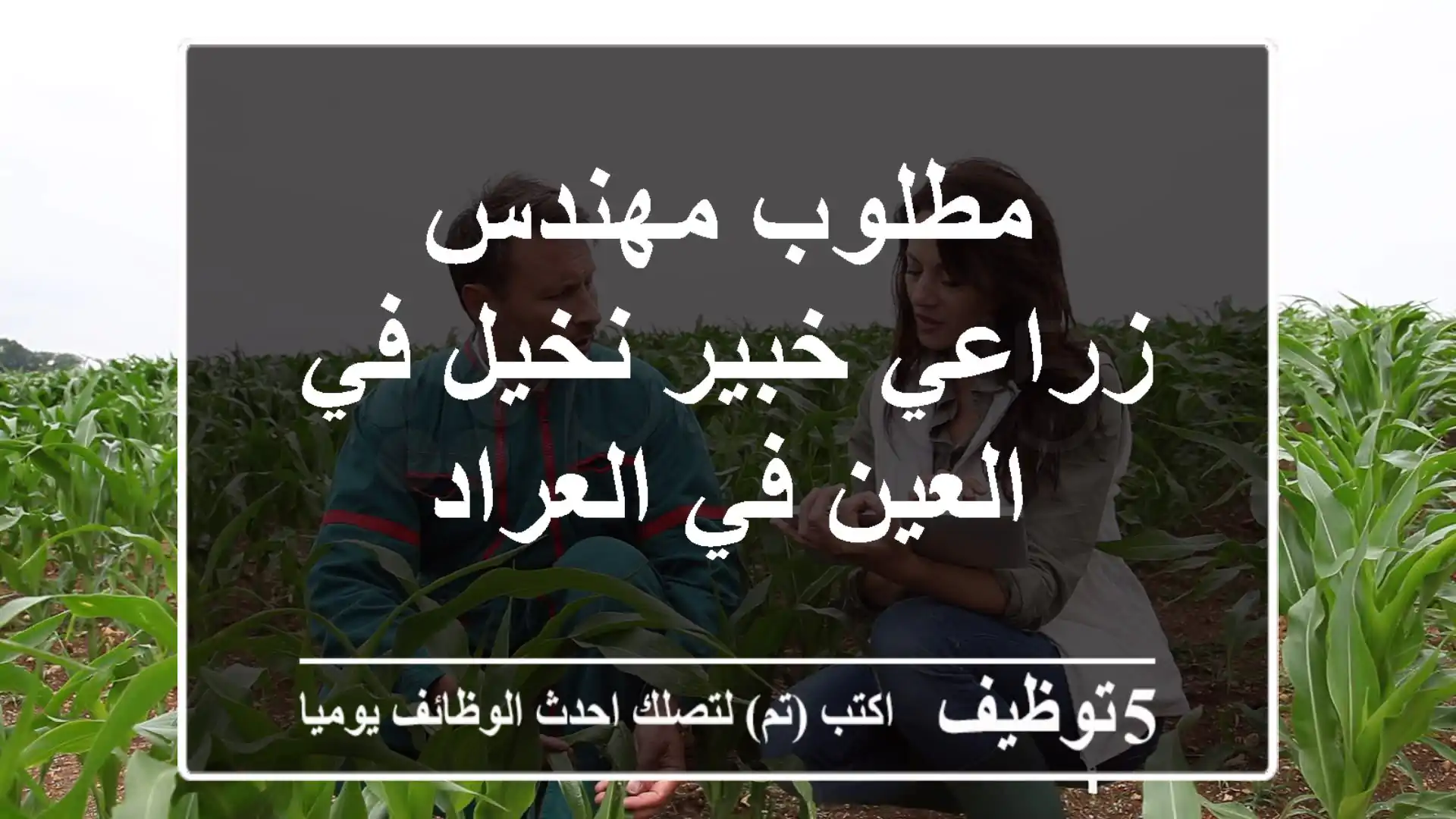 مطلوب مهندس زراعي خبير نخيل في العين في العراد