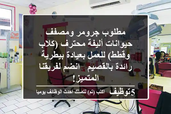 مطلوب جرومر ومصفف حيوانات أليفة محترف (كلاب وقطط) للعمل بعيادة بيطرية رائدة بالقصيم - انضم لفريقنا المتميز!