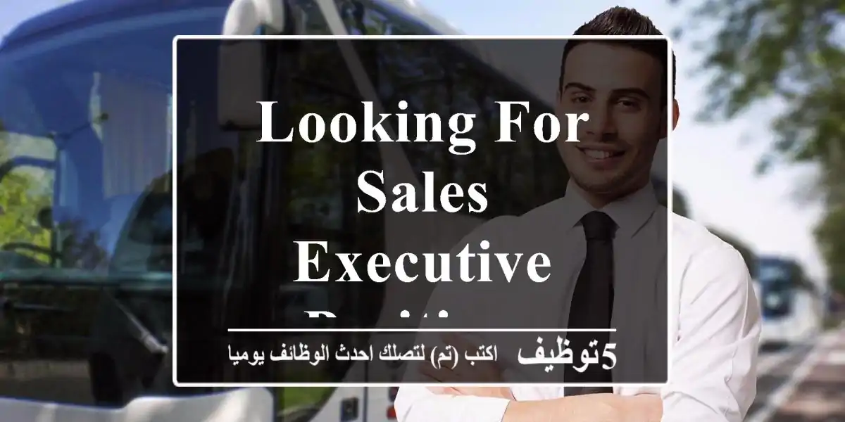 looking for sales executive positions