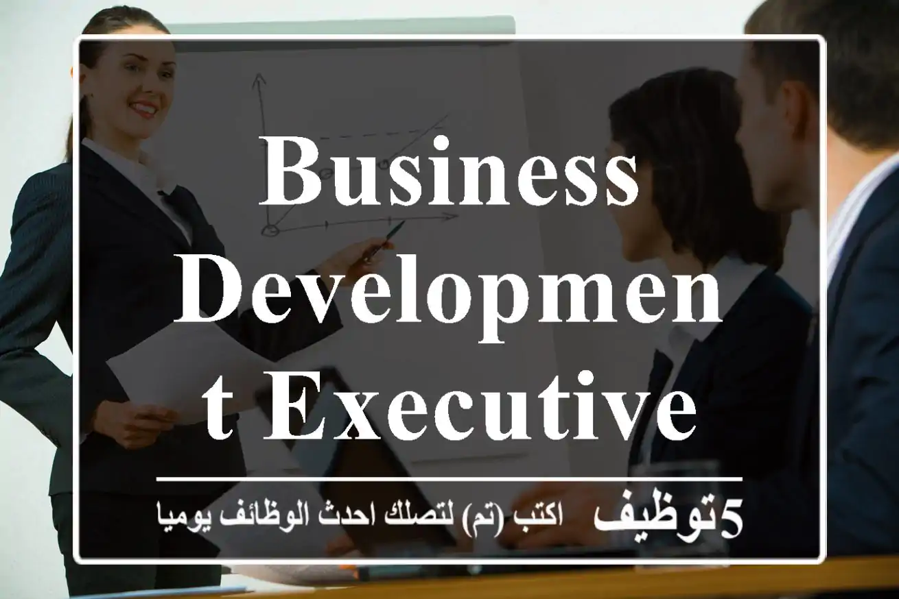 Business Development Executive