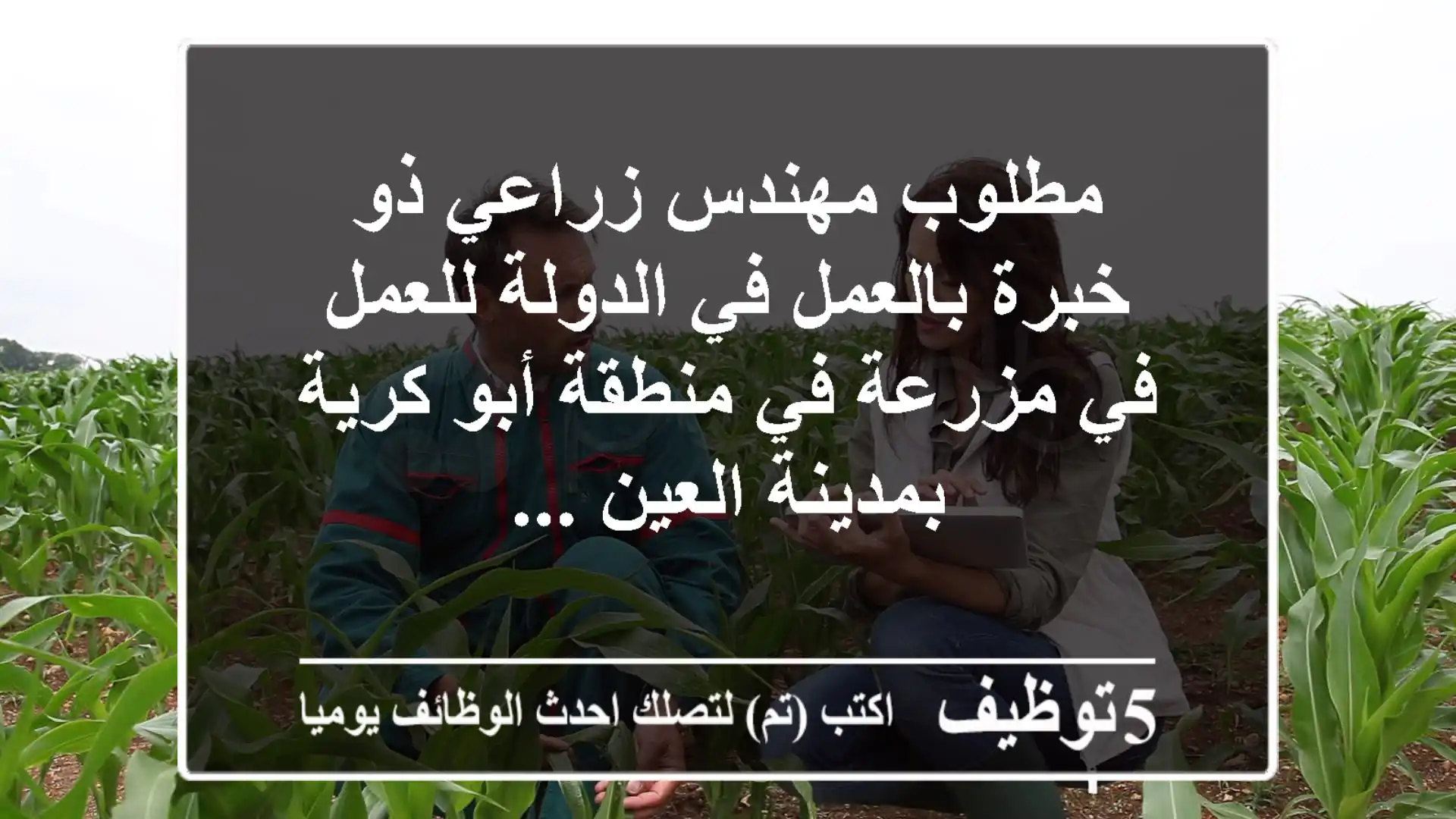 مطلوب مهندس زراعي ذو خبرة بالعمل في الدولة للعمل في مزرعة في منطقة أبو كرية بمدينة العين ...
