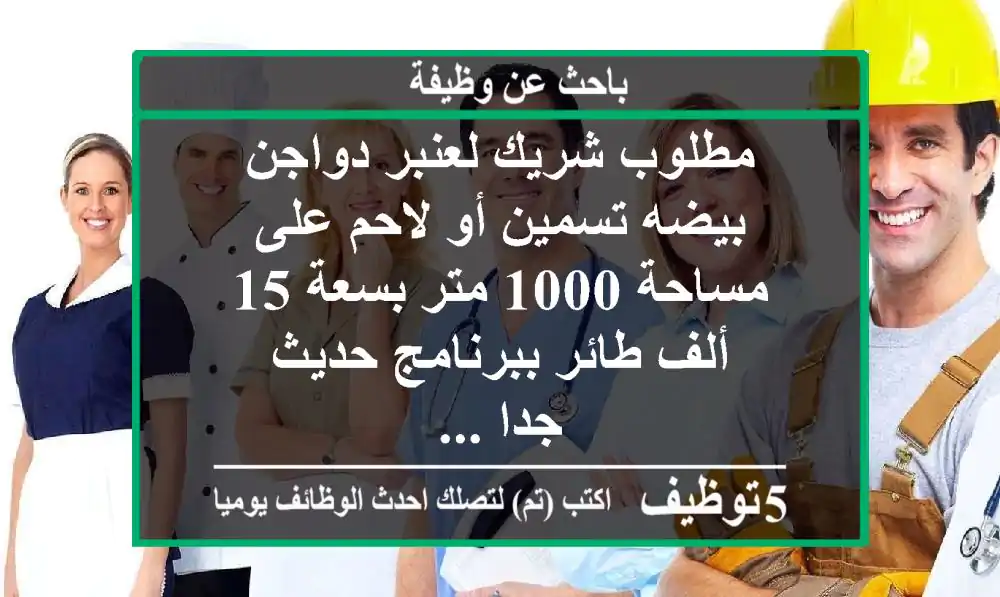 مطلوب شريك لعنبر دواجن بيضه تسمين أو لاحم على مساحة 1000 متر بسعة 15 ألف طائر ببرنامج حديث جدا ...
