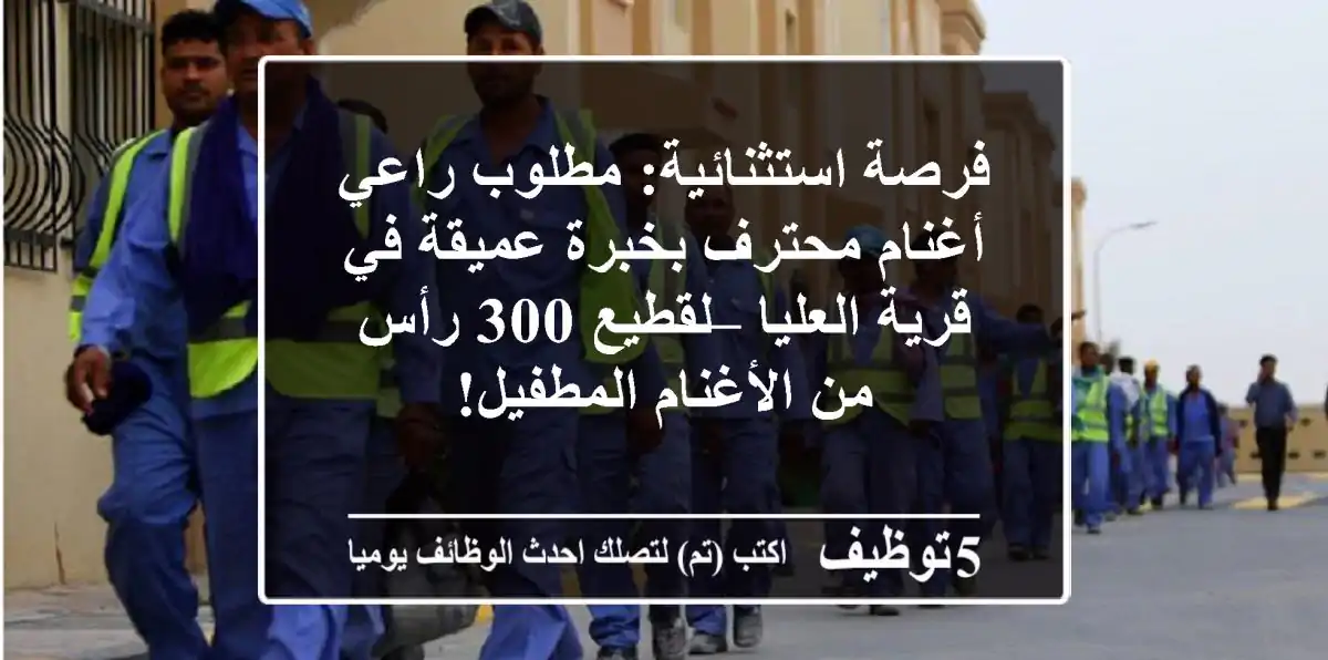 فرصة استثنائية: مطلوب راعي أغنام محترف بخبرة عميقة في قرية العليا – لقطيع 300 رأس من الأغنام المطفيل!